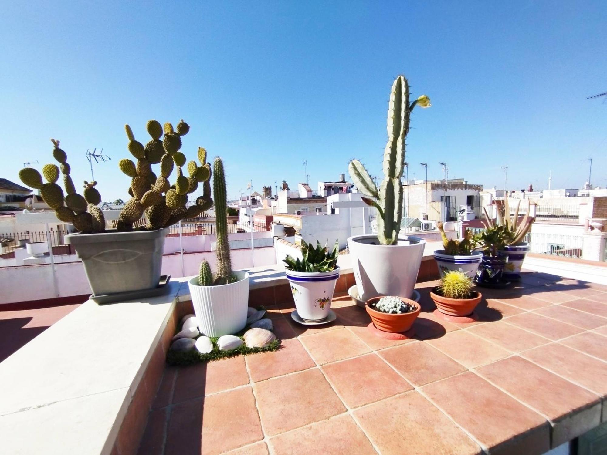 Casa Gavidia - Duplex With Panoramic View Lägenhet Sevilla Exteriör bild